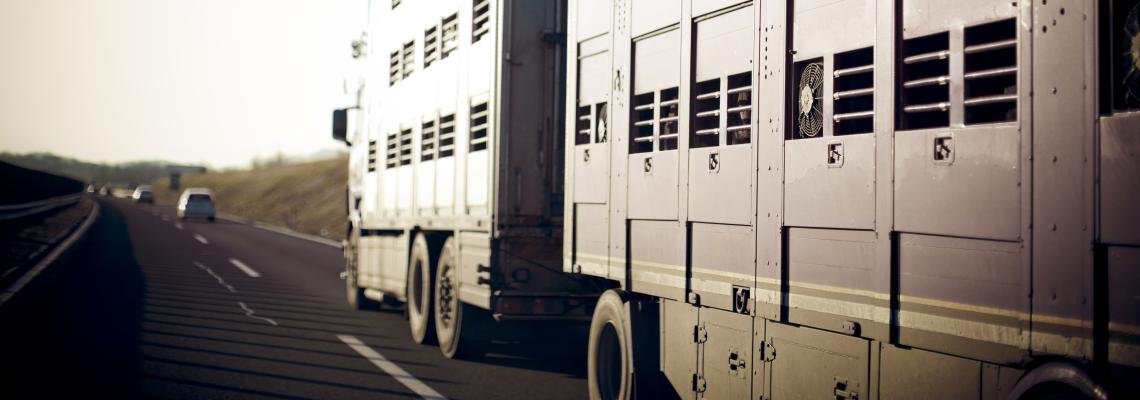 European Commission proposal on the protection of animals during transport