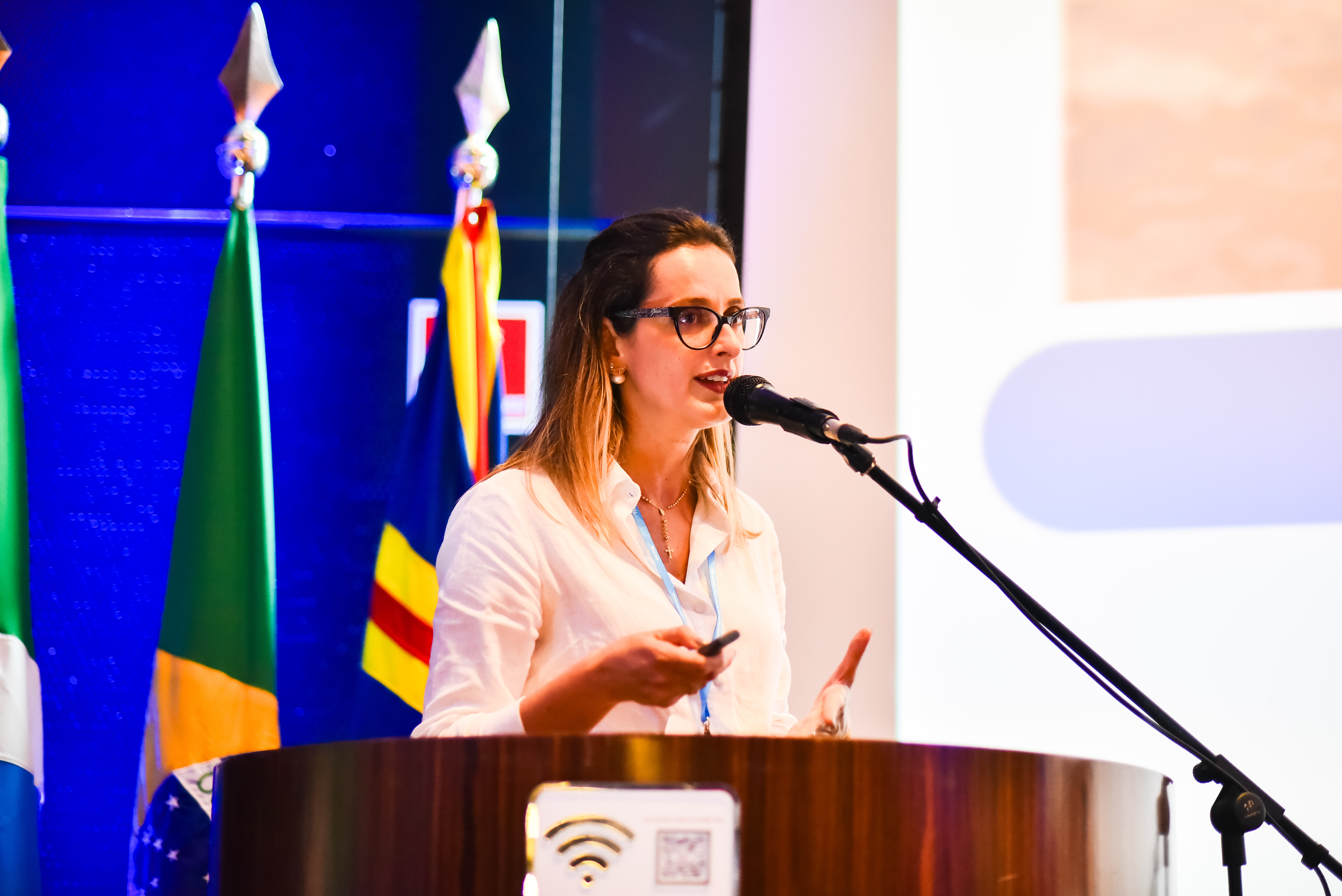 TIR can cut Bioceanic Corridor transport costs by 30%