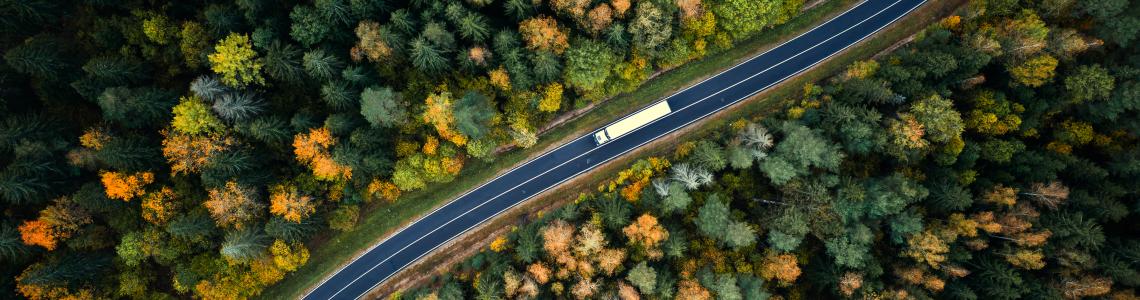 The right road to decarbonisation 