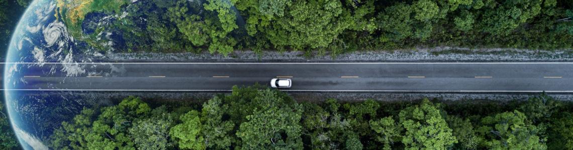 World Sustainable Transport Day