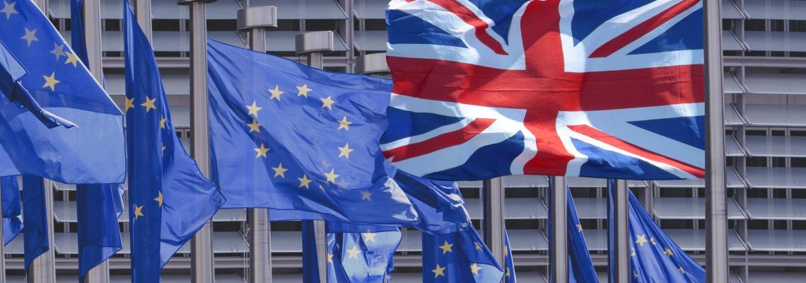 Brexit - Transition and the EU-UK future relationship