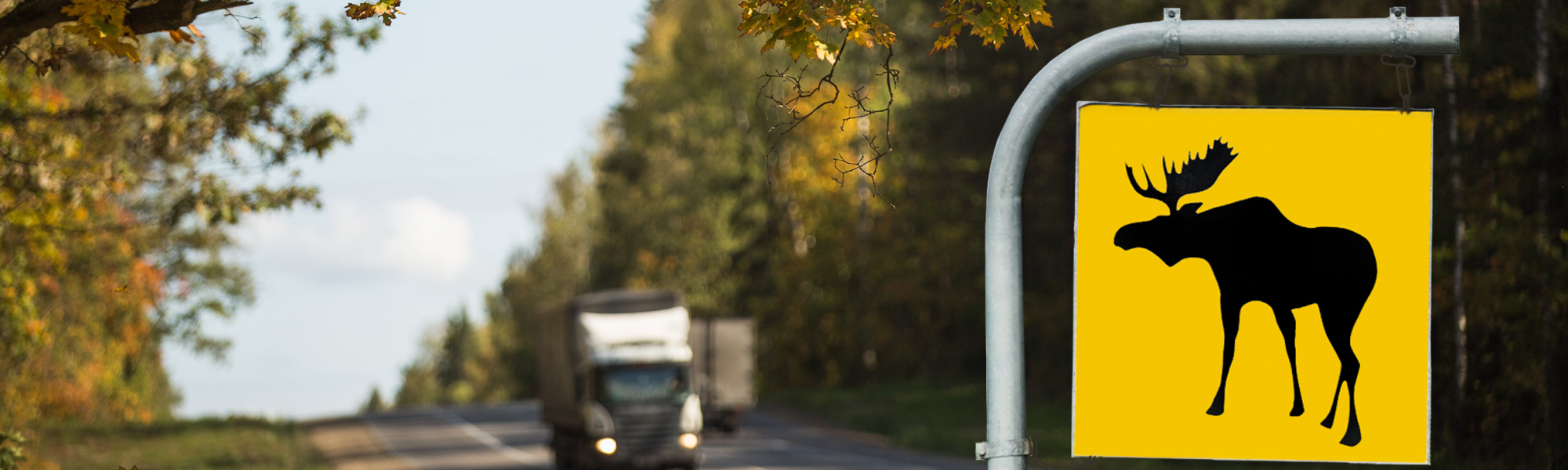 truck on road approaching moose crossing sign