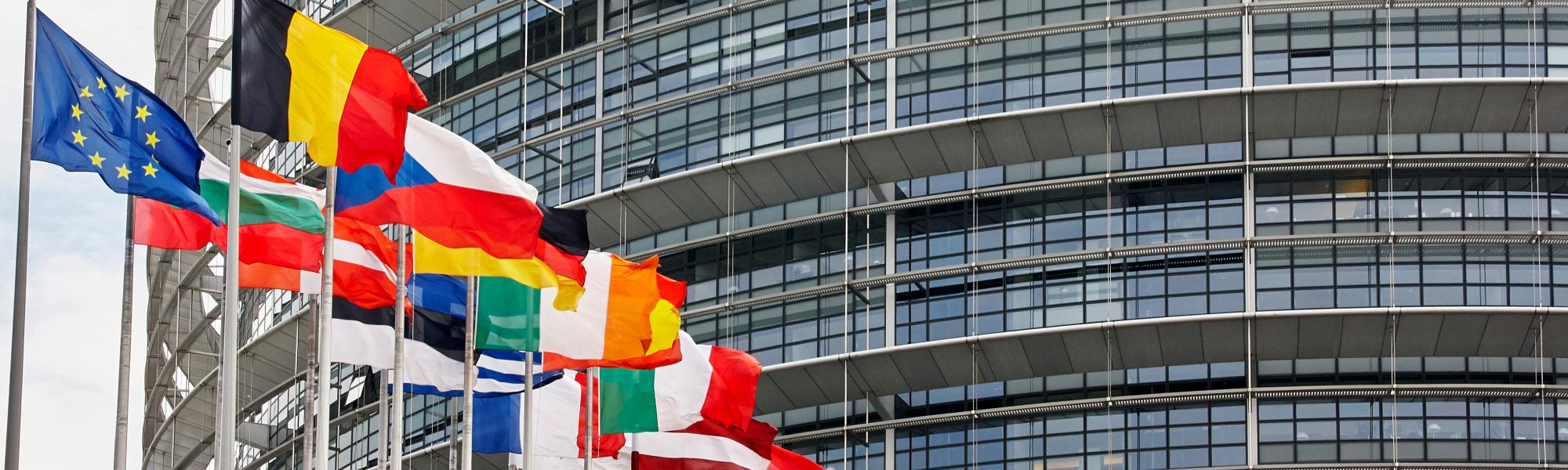 European Parliament building in Strasbourg with the flags of the Member States