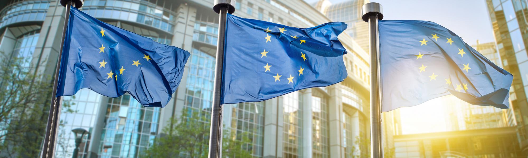 European Union flags in front of the European Parliament