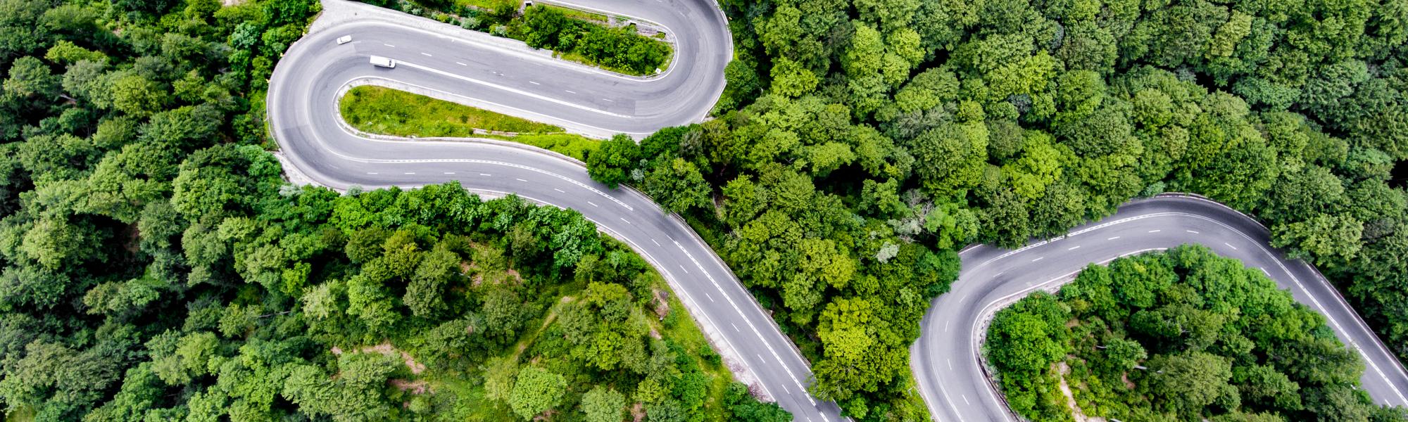 Winding road trough the forest