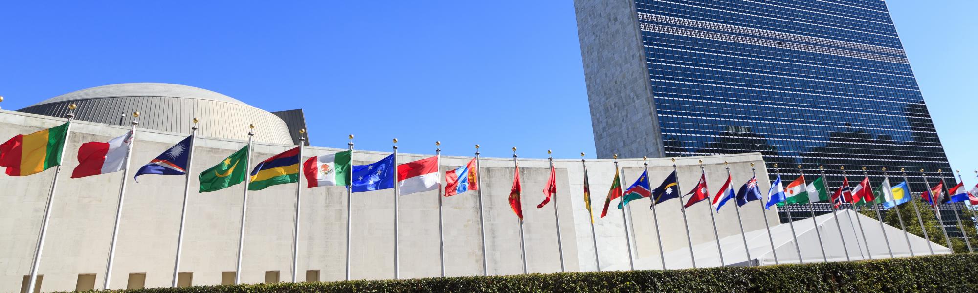 IRU briefs UN Economic and Social Council