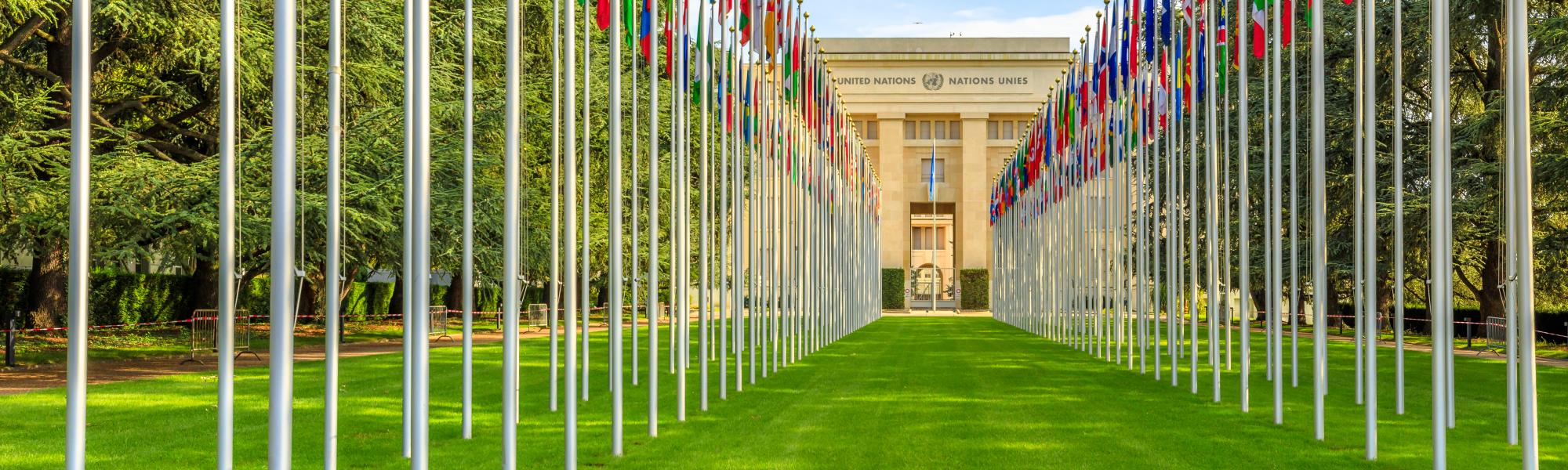 75 лет Комитету по внутреннему транспорту ЕЭК ООН