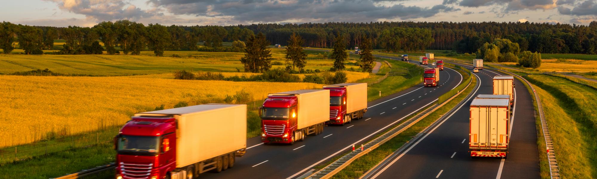 Road freight sector urges ENVI to include structural and financial needs in EU ETS-road | IRU | World Road Transport Organisation