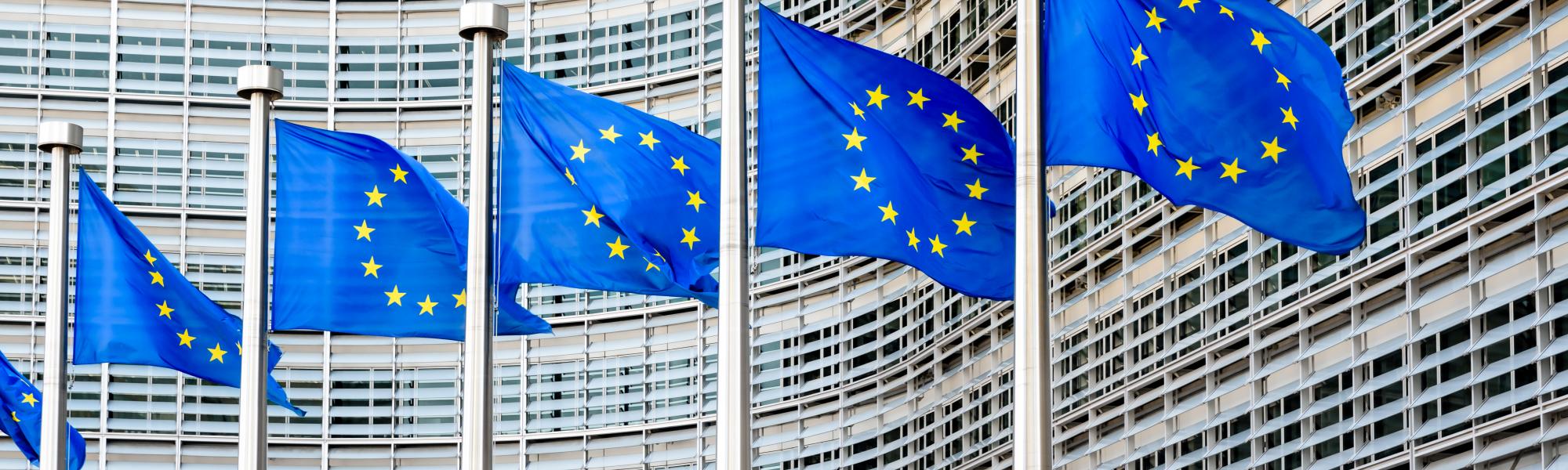 Driver shortages: IRU and EU commissioner explore solutions