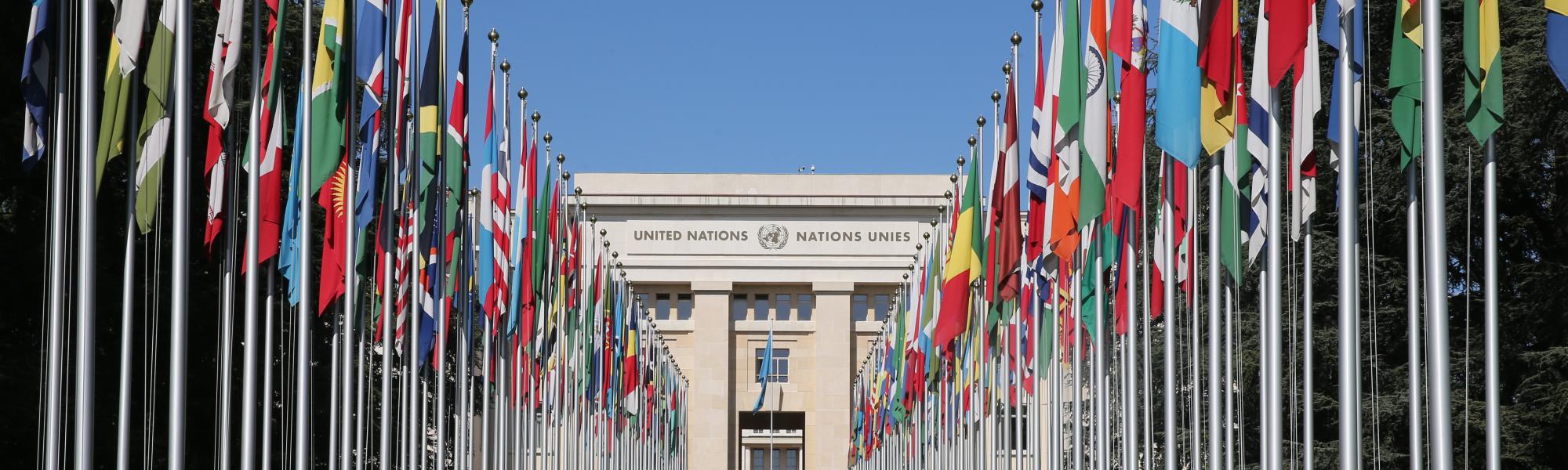 Глобальным техническим правилам ООН исполняется 25 лет