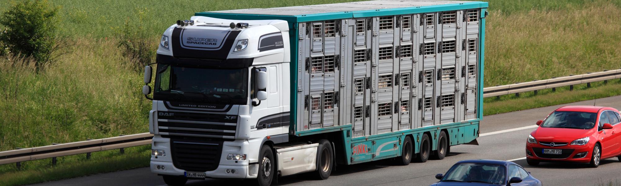 Live animal transport European Commission tables improved conditions