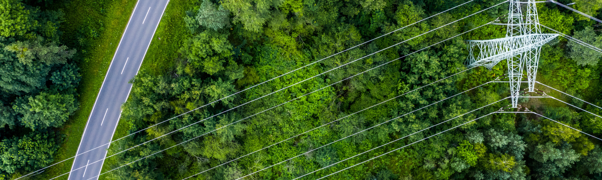 In a three-part webinar series, IRU and POLIS brought together European leaders to advance the decarbonisation of heavy-duty freight transport within (peri-)urban areas and the European road network. Participants debated critical issues shaping the EU’s journey towards carbon neutrality by 2050.