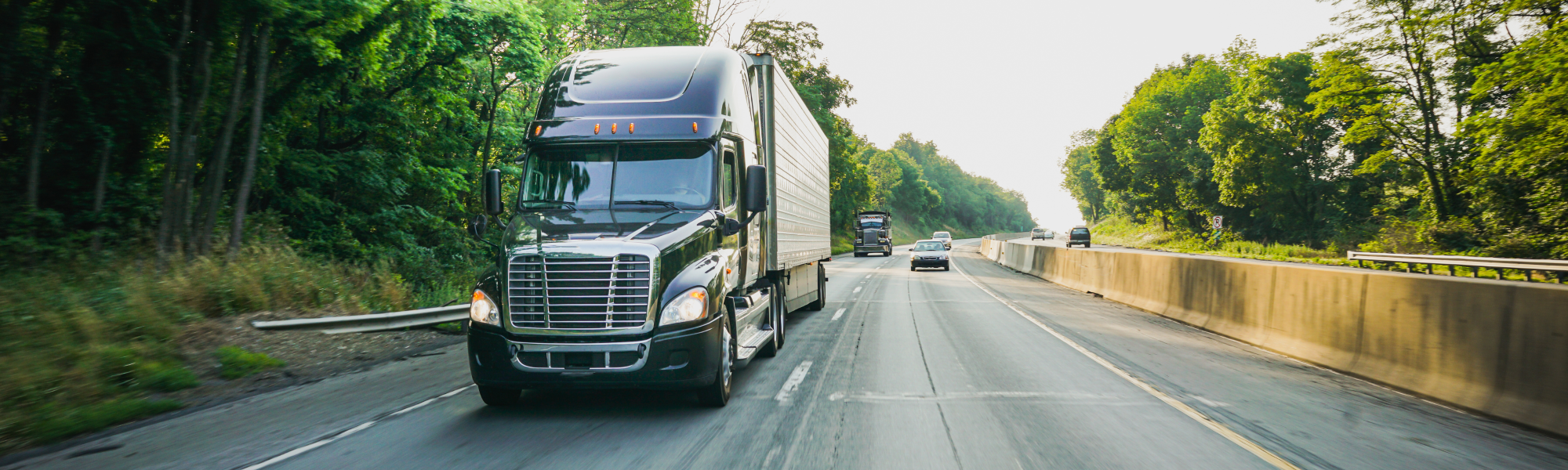 How do we give transport operators more options to decarbonise? We asked alternative fuels specialist and IRU member Hexagon Agility.