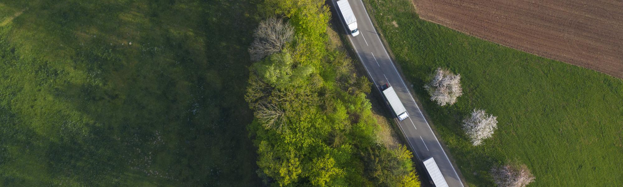 Transport and logistics companies decarbonise: Progress and future pathways