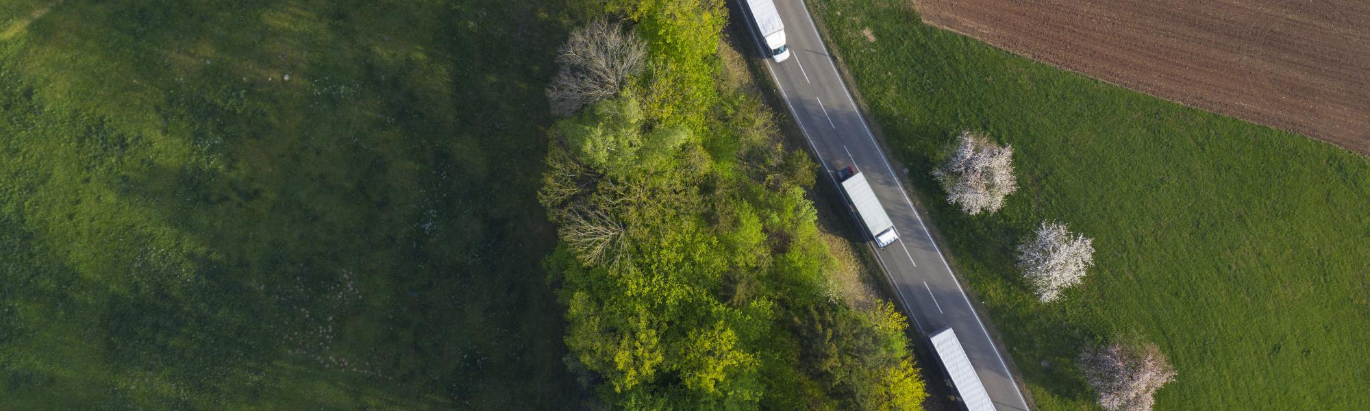Transport and logistics companies decarbonise: Progress and future pathways