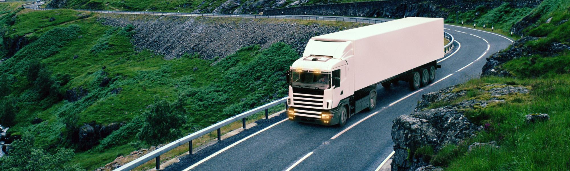 Your decarbonisation path: The TCO of alternative powertrains in the EU