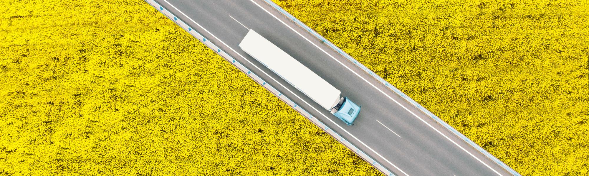 Green, smart and inclusive: Tackling road transport’s ‘three Ds’