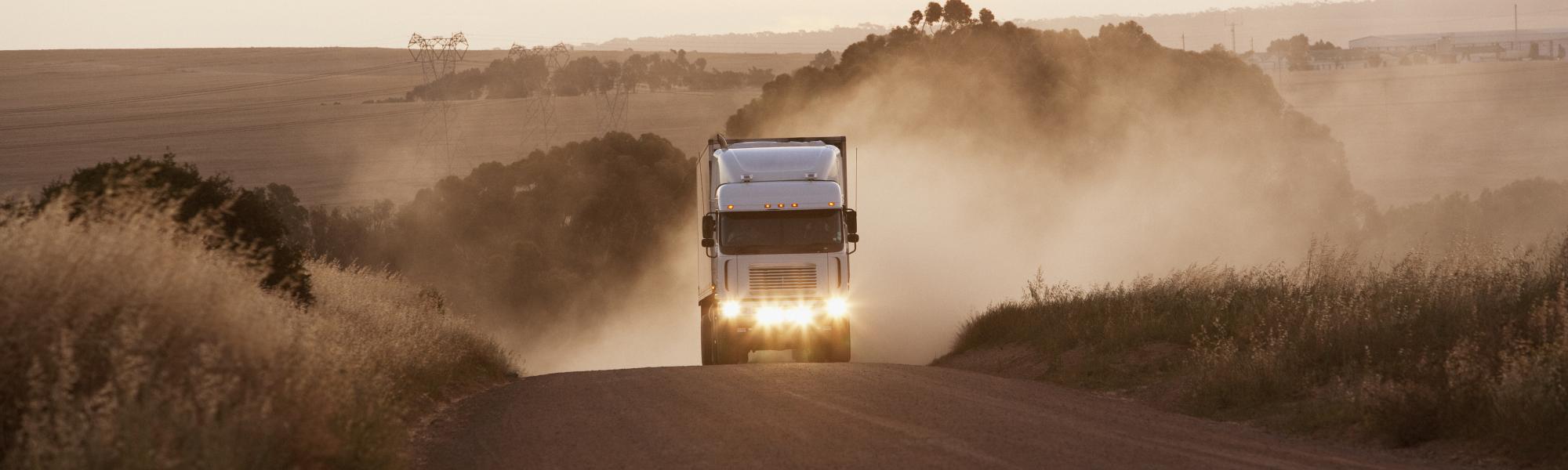 Free trade in Africa: Road transport as the missing link