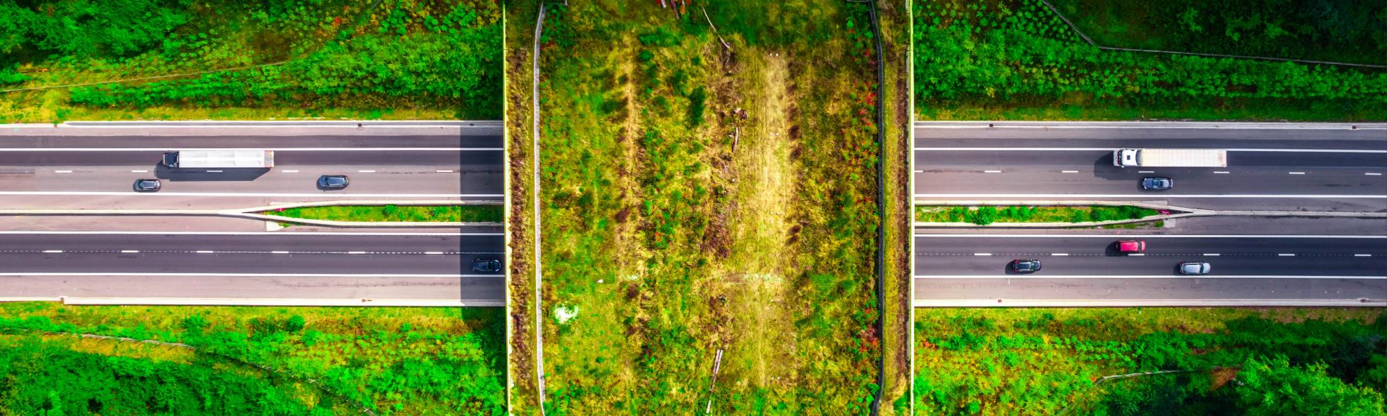 Road transport decarbonisation: ‘Real-world impact is already happening’