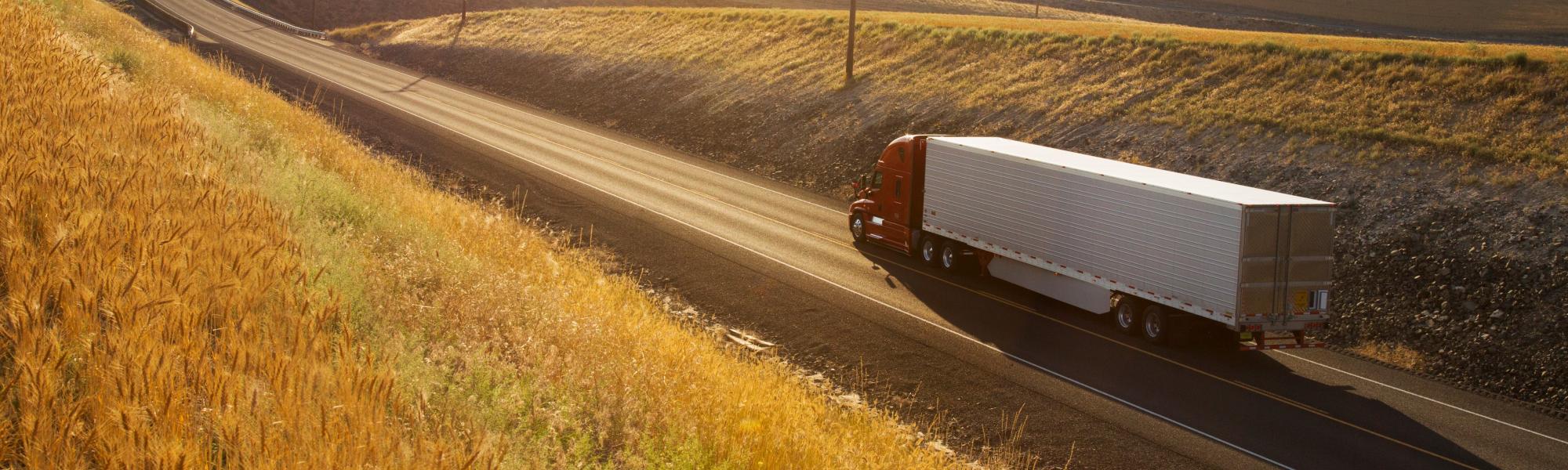 2025_What a year 2025 in review, 2026 in view