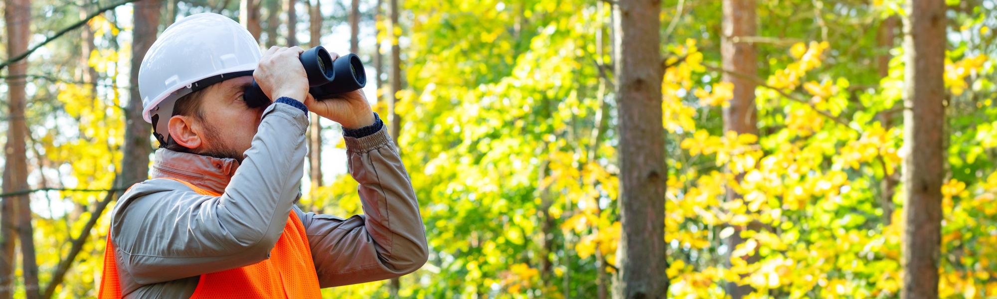 МСАТ открывает опрос Green Compact 2026 для сектора автомобильного транспорта