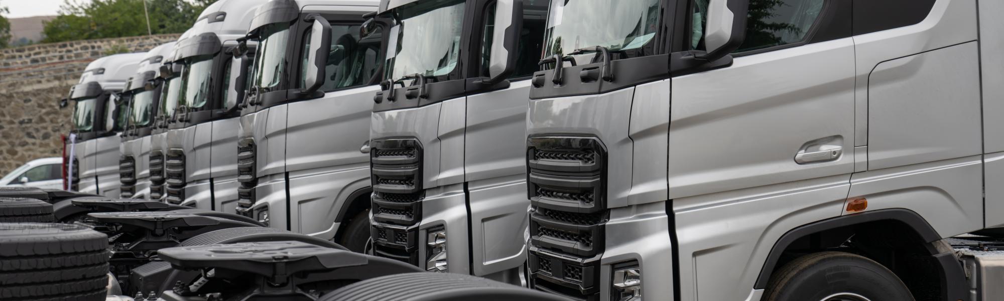 EU fleet decarbonisation requires incentive-led approach