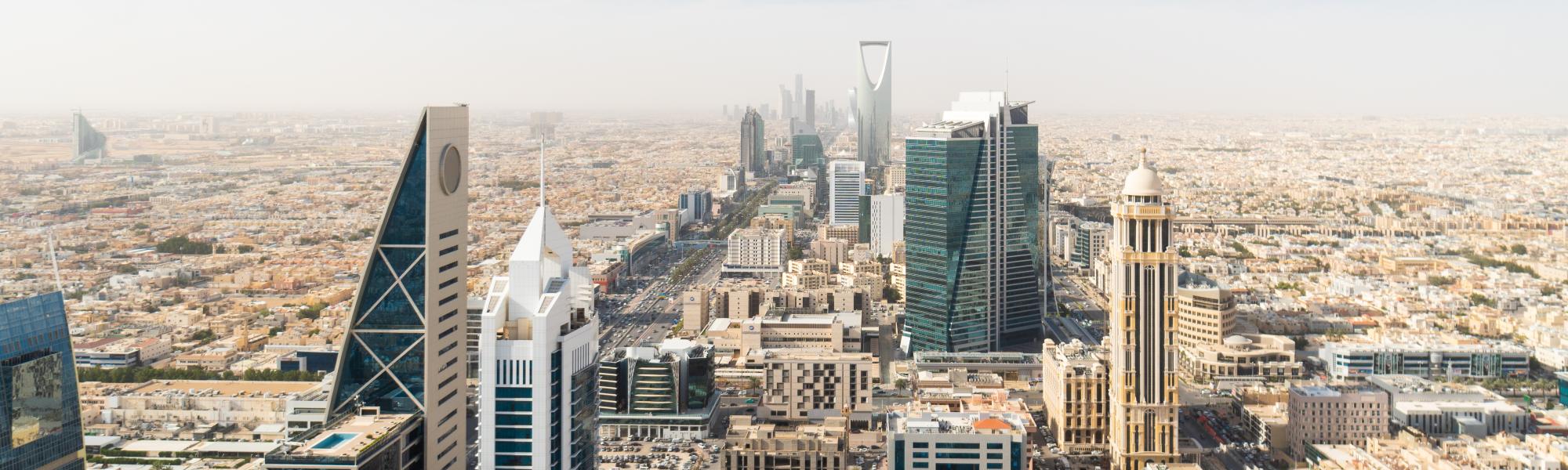 Faster times, new services: Saudi Arabia continues to boost trade with TIR