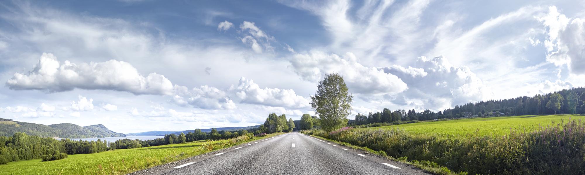 Fueling the Future: Automotive Strategies in Times of Energy Crisis