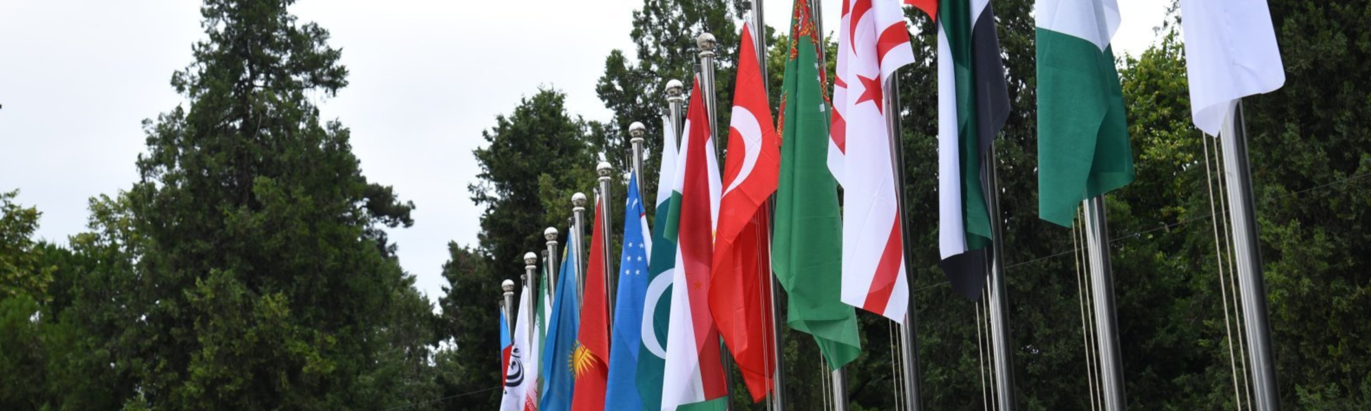 Two decades strong: IRU and ECO look to the future