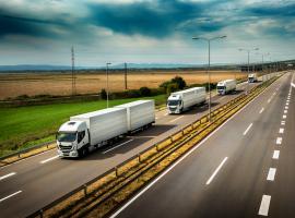 How road freight transport can help achieve climate goals