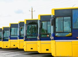 Passenger road transport: SMEs fight for survival in the time of COVID-19