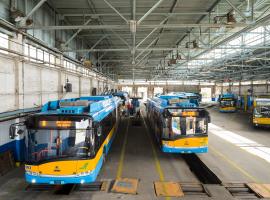 Болгария выделит более 15 млн евро на спасение автобусных перевозок