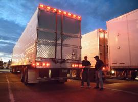 WHO and ILO form Action Group with global transport bodies to protect workers’ rights and ease supply chain congestion
