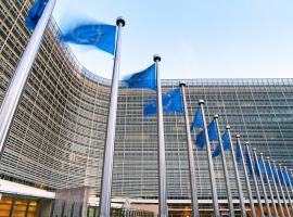 IRU briefs Commissioner Vălean on EU transport and mobility developments