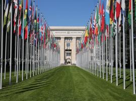 Глобальным техническим правилам ООН исполняется 25 лет