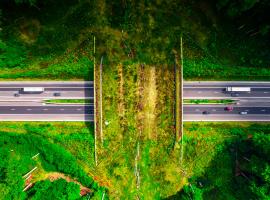 Road transport decarbonisation: ‘Real-world impact is already happening’