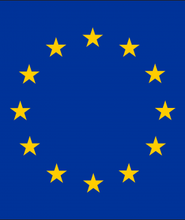 European Union flag