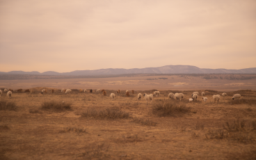 Mongolia’s rough roads