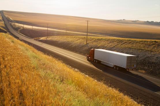 Back to the future? 2025 in review, 2026 in view