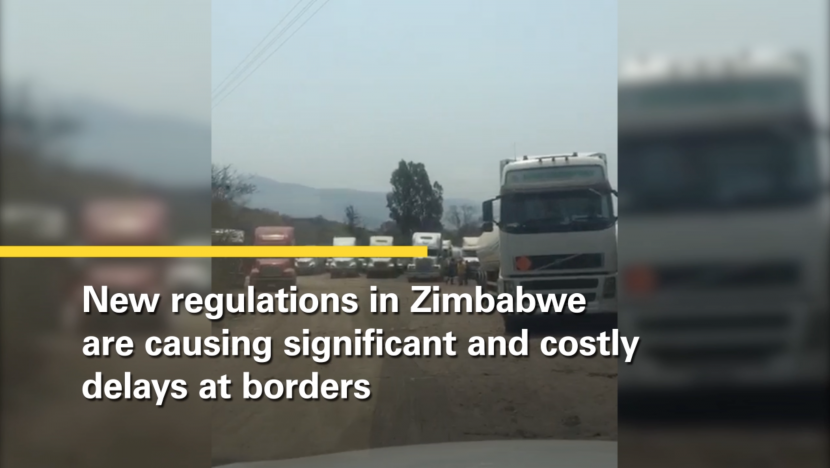 Current conditions on Zimbabwe's border