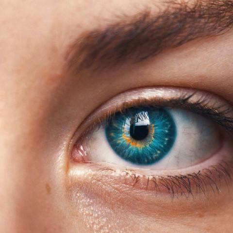 Road transport Intelligence