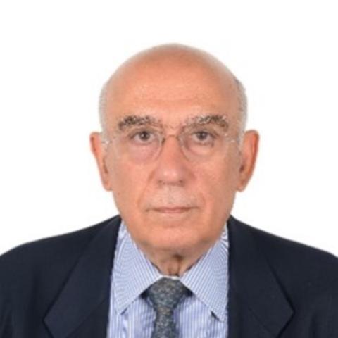 Dimitrios Rallis