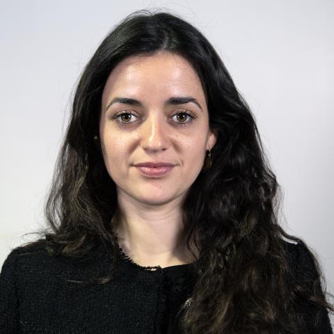 Clara Sánchez López (Moderator)