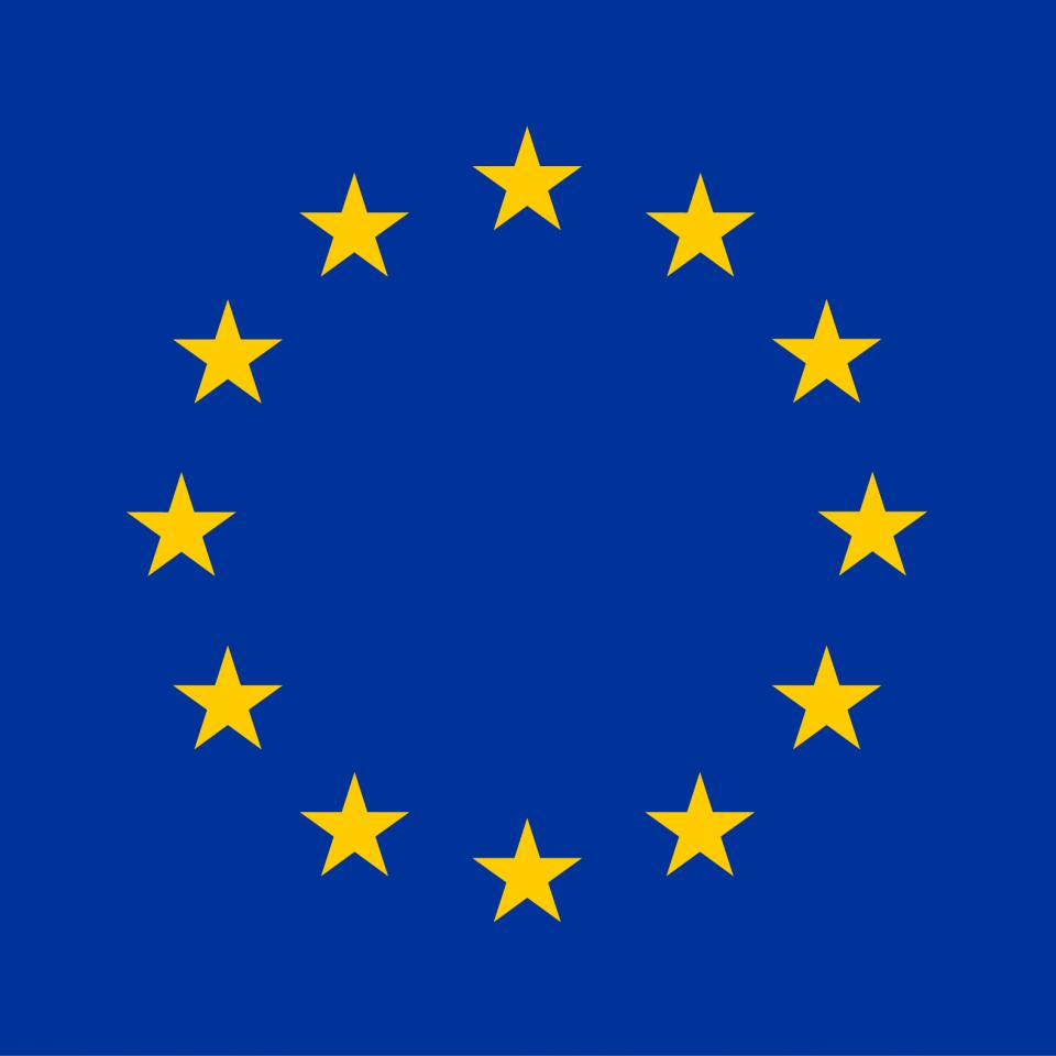 EU logo