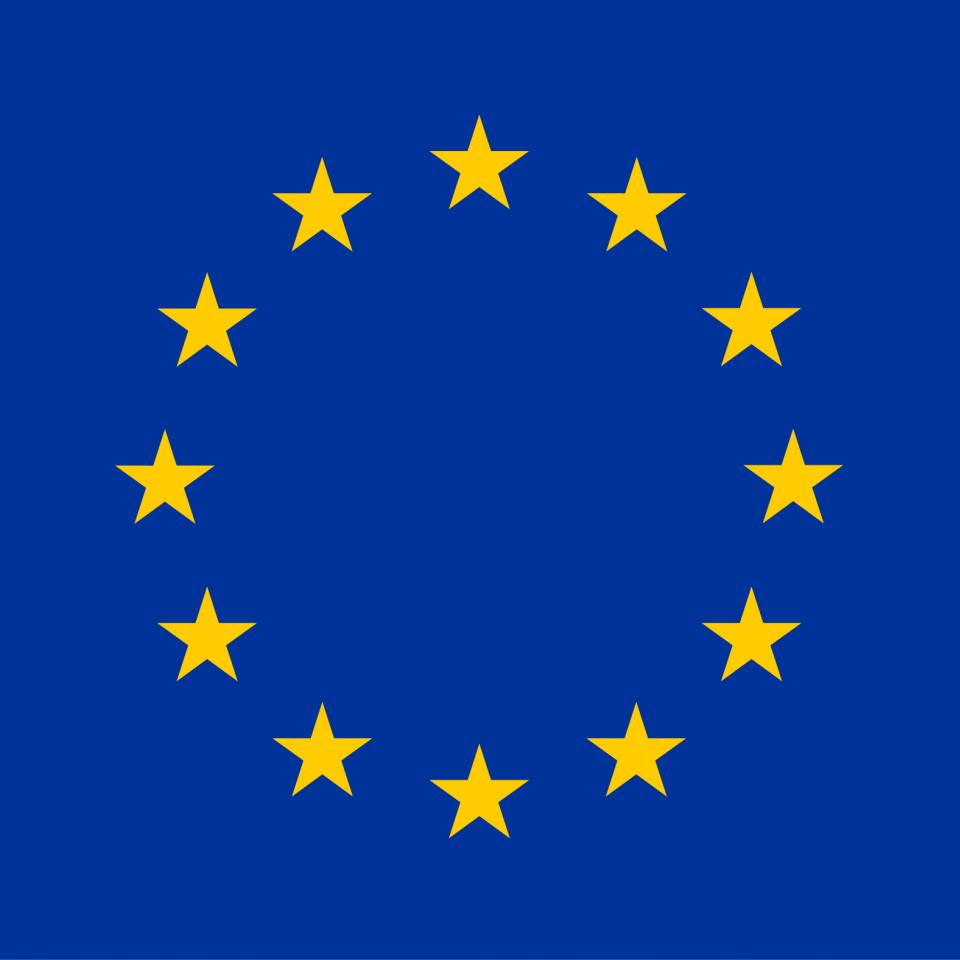 EU logo