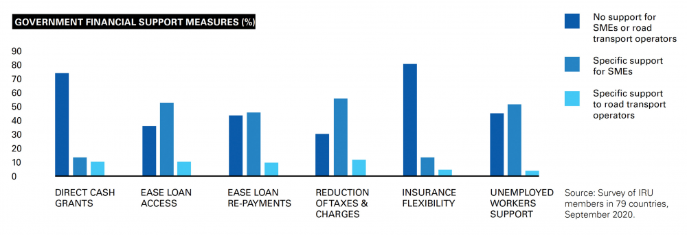 Government financial support measures