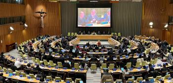 Umberto sustainability