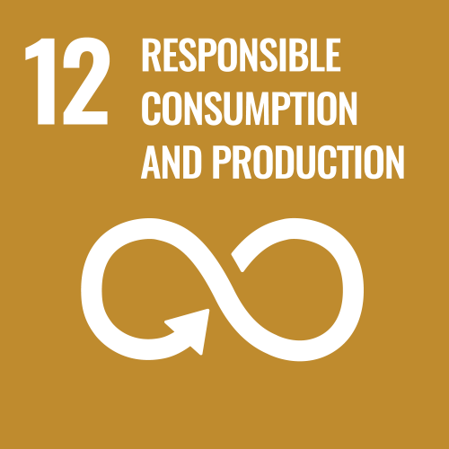 SDG 12 - Responsible consumption and production 